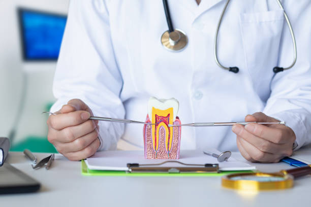 Best Emergency Tooth Extraction in Brookfield Center, OH